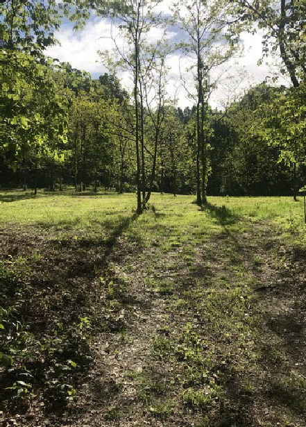 1. Field